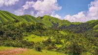 Inside India's 12-year environmental clearance overhaul