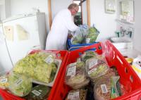 Broccoli Sprout Salmonella Outbreak Reaches 32 Cases as Minnesota and Oregon Join the List of Affected States