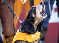 Texas vs Tennessee: Free live stream, TV channel, kickoff time