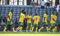 Bafana Bafana v Guinea Player Ratings