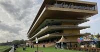 France Galop expecting Arc ground to be good to soft