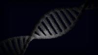 SA’s genetic diversity could hold key to more effective medicines