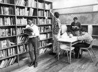 Literacy Is Another Casualty of the Decline of Democracy