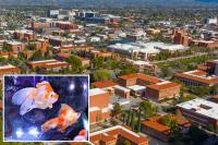 Arizona frat suspended for force-feeding pledges goldfish: report