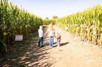 Indiana Grown: Kelsay Farms celebrates 20 years