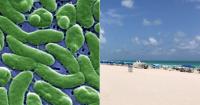 The number of fatalities in Florida and Louisiana due to the flesh-eating bacteria is rising