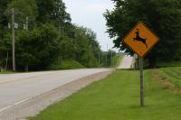 PennDOT Reminds Drivers to Watch for Deer as Autumn Travel Increases Crashes