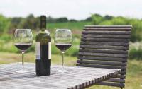 Can Good Wine Be Made in New Jersey?