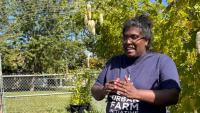 How to build a food-growing ecosystem like these 7 Rexdale farms