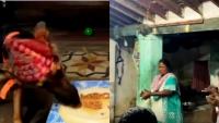 Humble Family Celebrates German Shepherd’s Birthday With Pure Love, Wins Hearts - VIRAL VIDEO