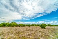 Texas Working Lands Innovation Summit Oct. 8