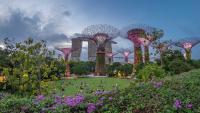 Investing in Singapore as an Expat: What Should You Consider First?