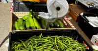 From 1996 To 2027: Estes Park Farmers Market Invites Community To Help Shape Its Next Chapter