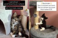 Politicizing pet adoption is proof Woke 2 is as insane as Woke 1