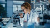 What to Consider When Preparing and Studying Peptide Compounds in the Laboratory
