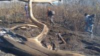 Mount Rinjani Forest Fire Spreads Across 723.7 Hectares