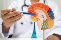 US medical schools have gone DEI-crazy — with deadly results