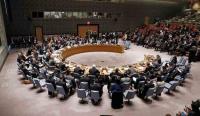 Libya's UN Security Council Bid Faces Criticism Amid Political Divisio