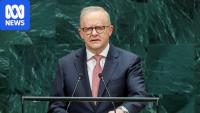 Despite the doom and gloom, Australia can't afford to write off AI