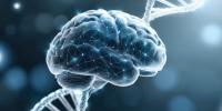 New study of Brazilian twins sheds light on the heritability of our creative confidence