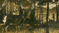 The 287-Pound South Carolina Whitetail That Almost Outsmarted a Legendary Deer Hunter