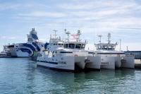 European fisheries struggling to cope with rising sea temperatures