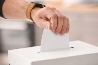 COLUMN: Duelling elections will cause voter confusion in B.C.