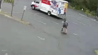 Mystery animal terrorizes New Hampshire town as police forced to investigate after 3 attacks