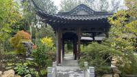 Europe's largest classical Chinese garden opens in Manchester