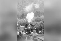 Rail safety week full steam ahead in Vernon history