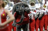 How to watch South Carolina vs Alabama for free today: TV channel, live stream info