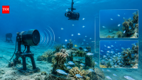 Scientists play reef sounds through underwater speaker in Hawai‘i; cameras record 4 to 14 times more baby fish at treated site