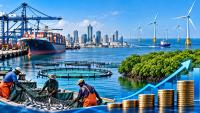OPINION: Blue Finance Options Can Launch Nigeria Into A Sustainable Pathway