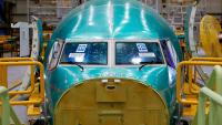 Boeing flags 737 MAX software glitch: reports