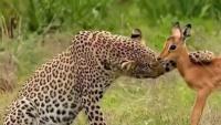 86 Posts About Nature, Wilderness And Animals To Make Your Day Better Or Teach You Something New