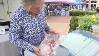 'Trust is not there': Arkansas farms see sales climb amid meat recall, foreign beef imports