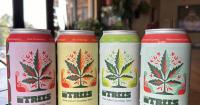 THC Beverages, Alcohol Decline, and the Strange New Normal in North Carolina