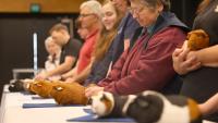 Hundreds attend New Zealand’s National Guinea Pig Show in Taupō