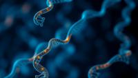 Machine Learning Meets Forensic DNA: SNPs That Identify Relatives and Separate East Asian Populations