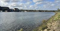 Council declares no confidence in Southern Water over River Itchen pollution