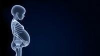 High-Dose Vitamin D in Pregnancy Fails to Strengthen Children’s Bones by Age 13, Landmark Trial Finds