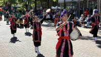Celebrating culture at Fayetteville's International Folk Festival
