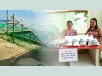 Daram women find added income in solar salt production