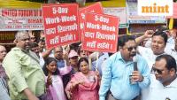Rare Sunday for public- and rural sector-banks; check if your bank is open