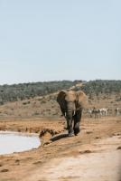 7 reasons Northern KZN should be your next holiday destination