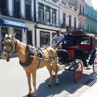 From Mona to Havana and back again