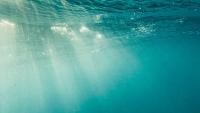 Can solar power work underwater? Scientists test solar panels 10 metres beneath the sea