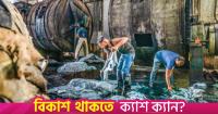 Chinese firms turn Savar tannery waste into $1.5m exports