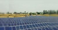Renewable Energy India Expo 2026 to unlock ₹2,800 cr investment in bioenergy sector: IBA