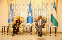 Somalia: Puntland Urges UN Security Council Action Amid Somalia Political Dispute